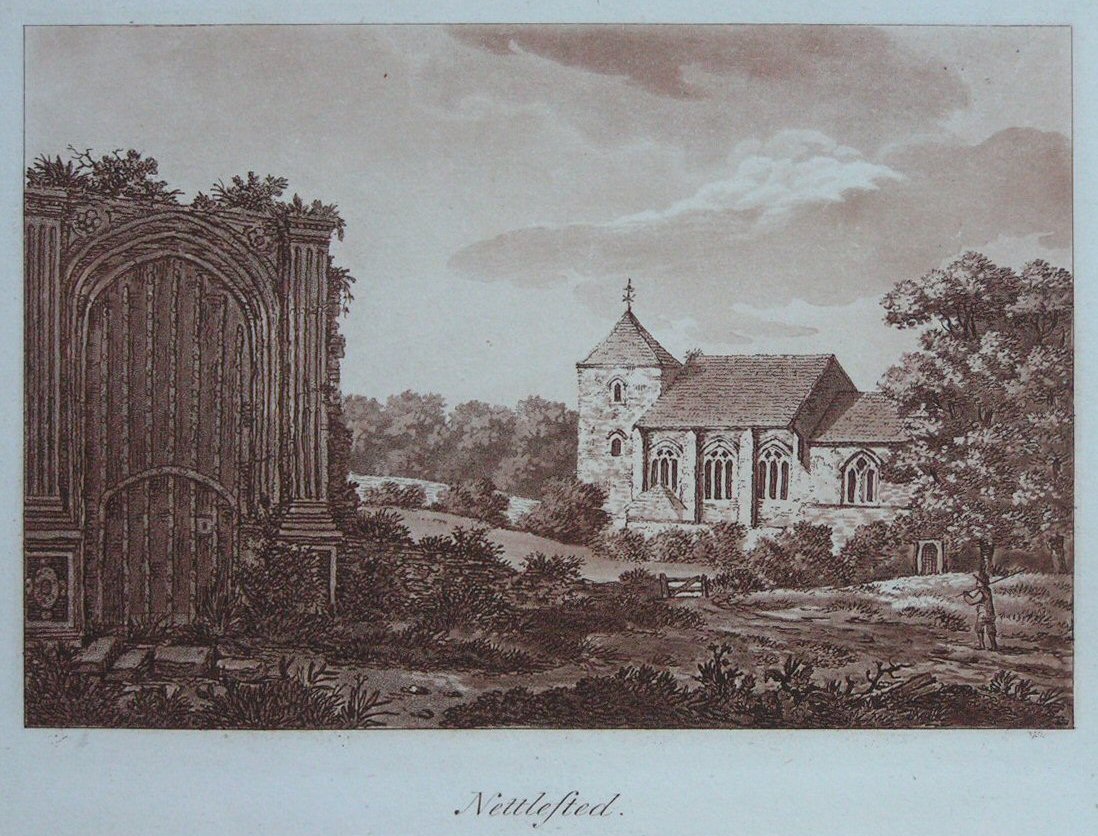 Aquatint - Nettlested - Ireland