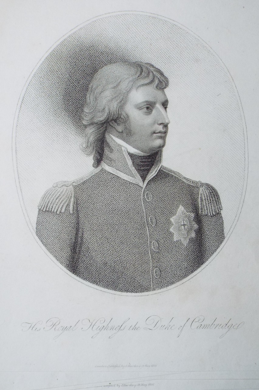 Stipple - His Royal Highness the Duke of Cambridge.