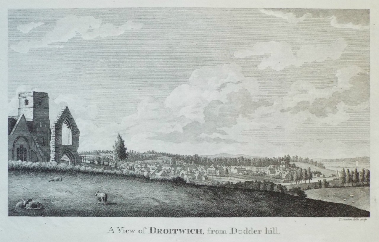 Print - A View of Droitwich, from Dodder Hill. - Sanders