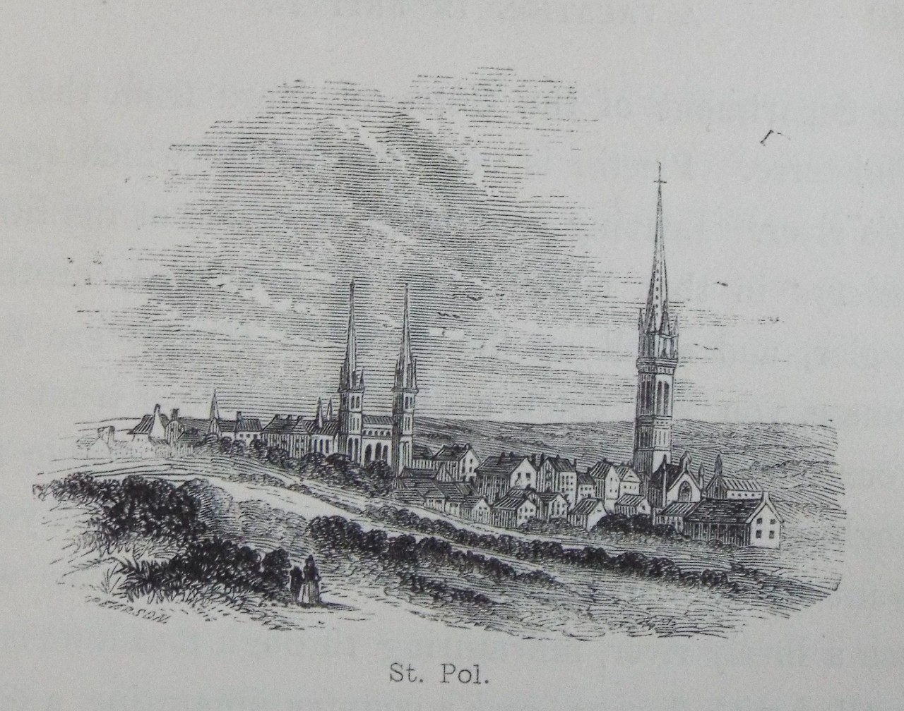 Wood - St. Pol.