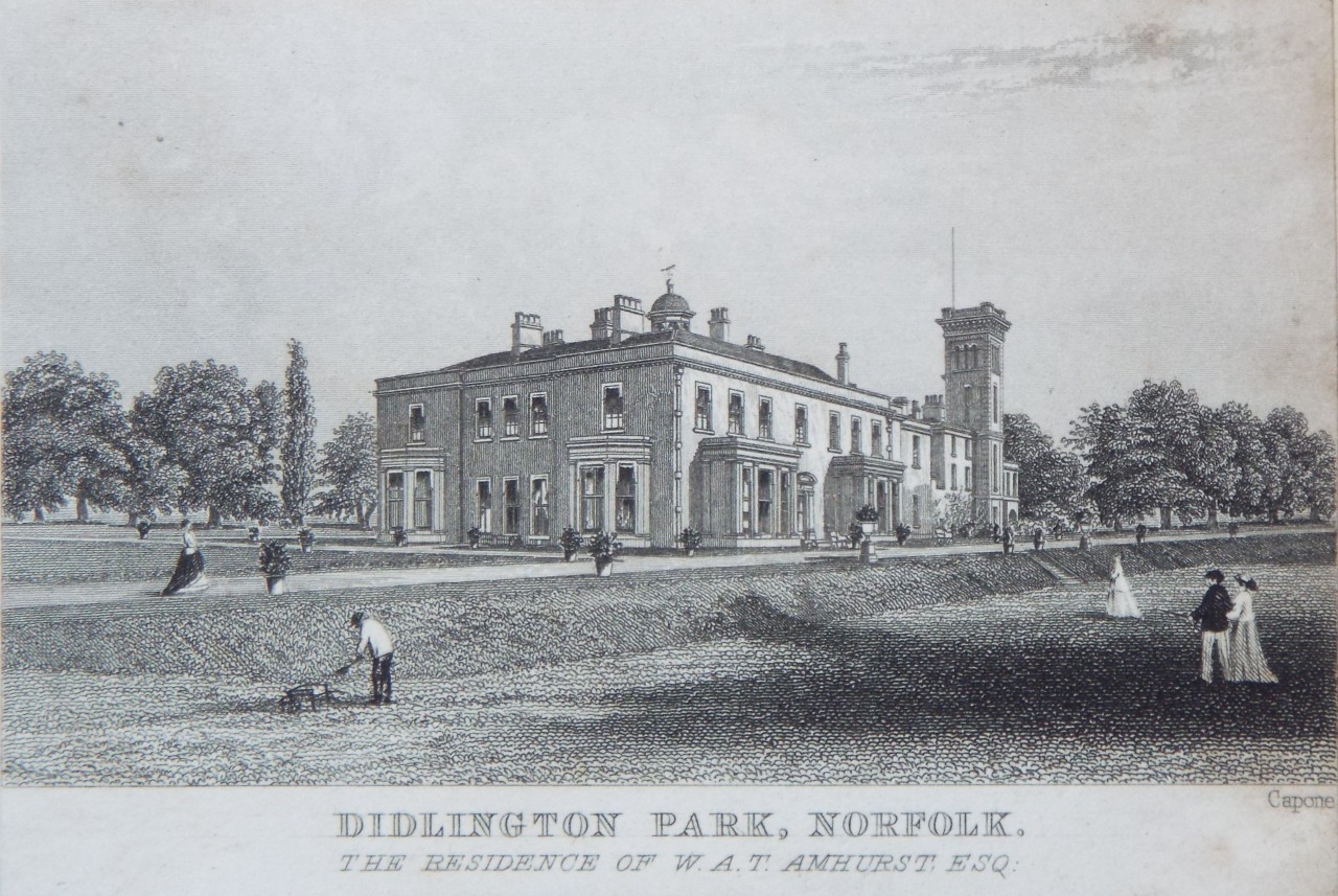 Print - Didlington Park, Norfolk. The Residence of W. A. T. Amhurst Esq. - 