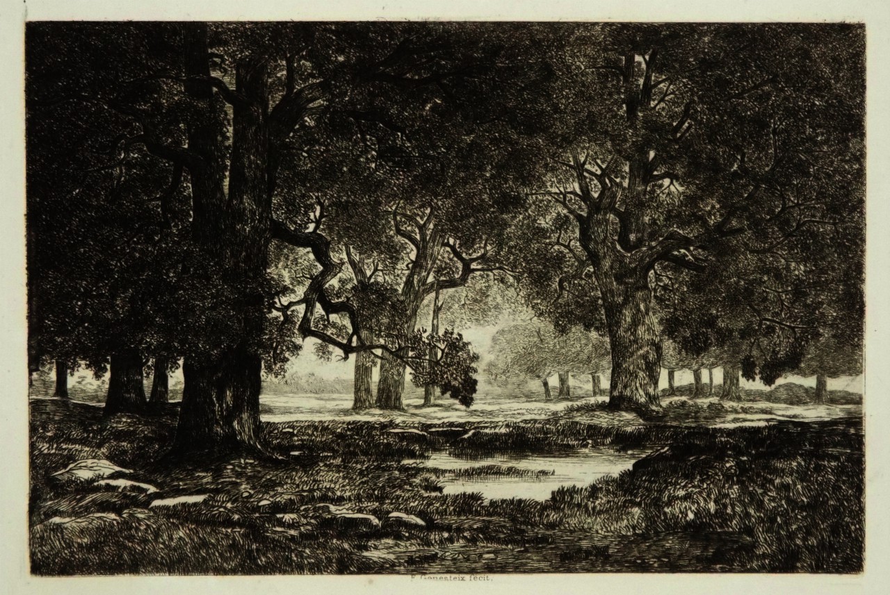 Etching - (Woodland scene) - Gesteix