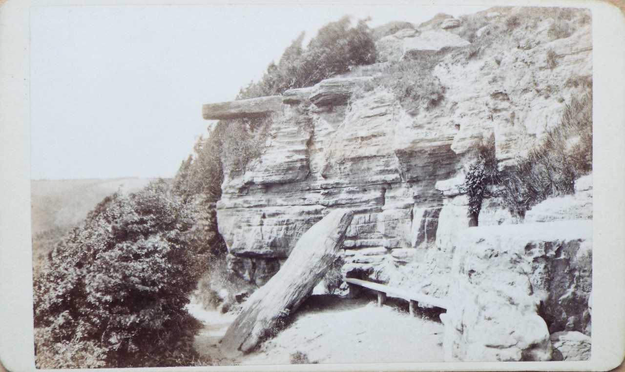 Photograph - Lovers Seat