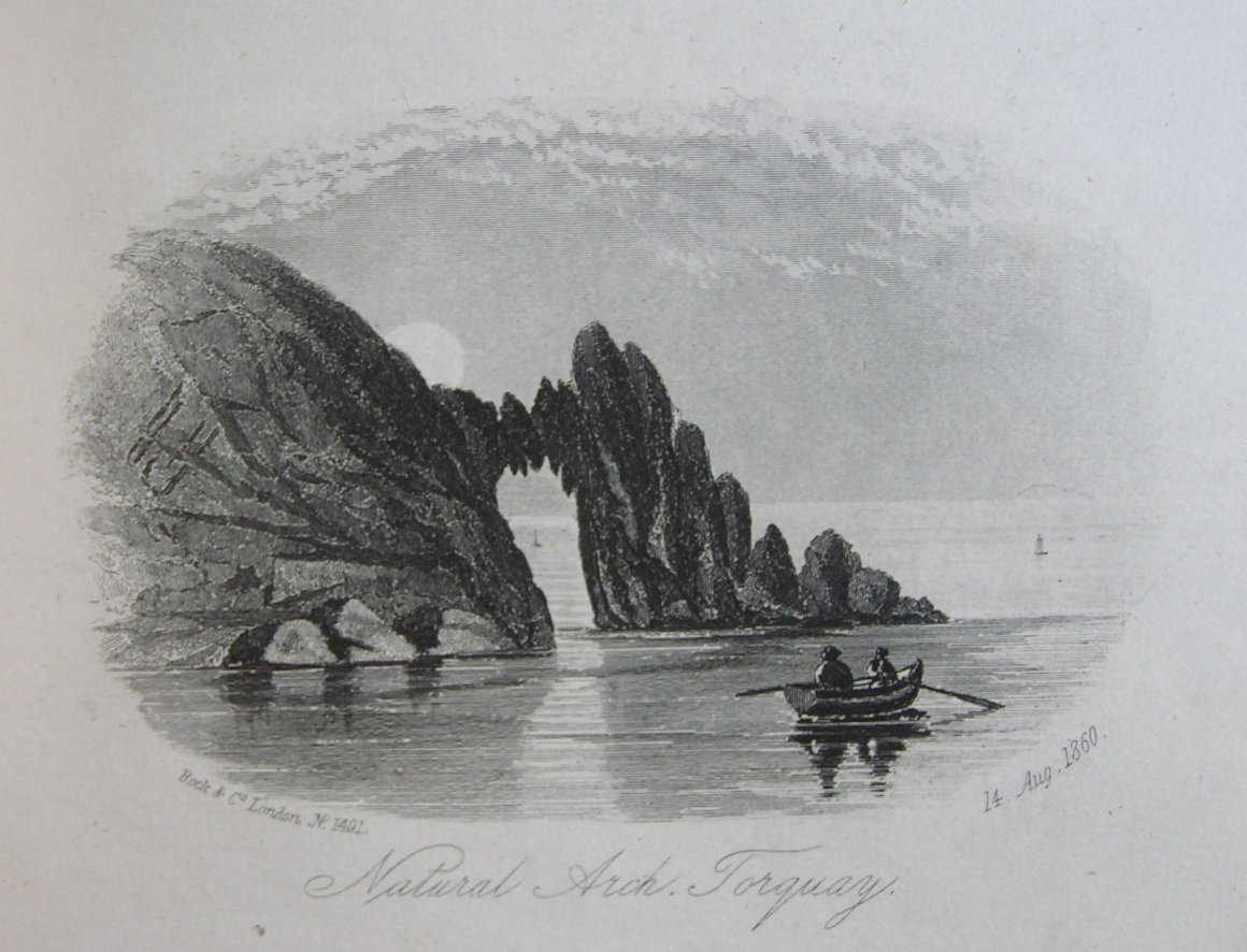 Steel Vignette - Natural Arch, Torquay - Rock