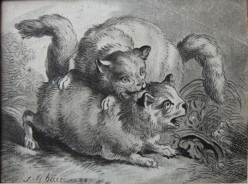 Etching - (Two Cats Fighting) - Huet