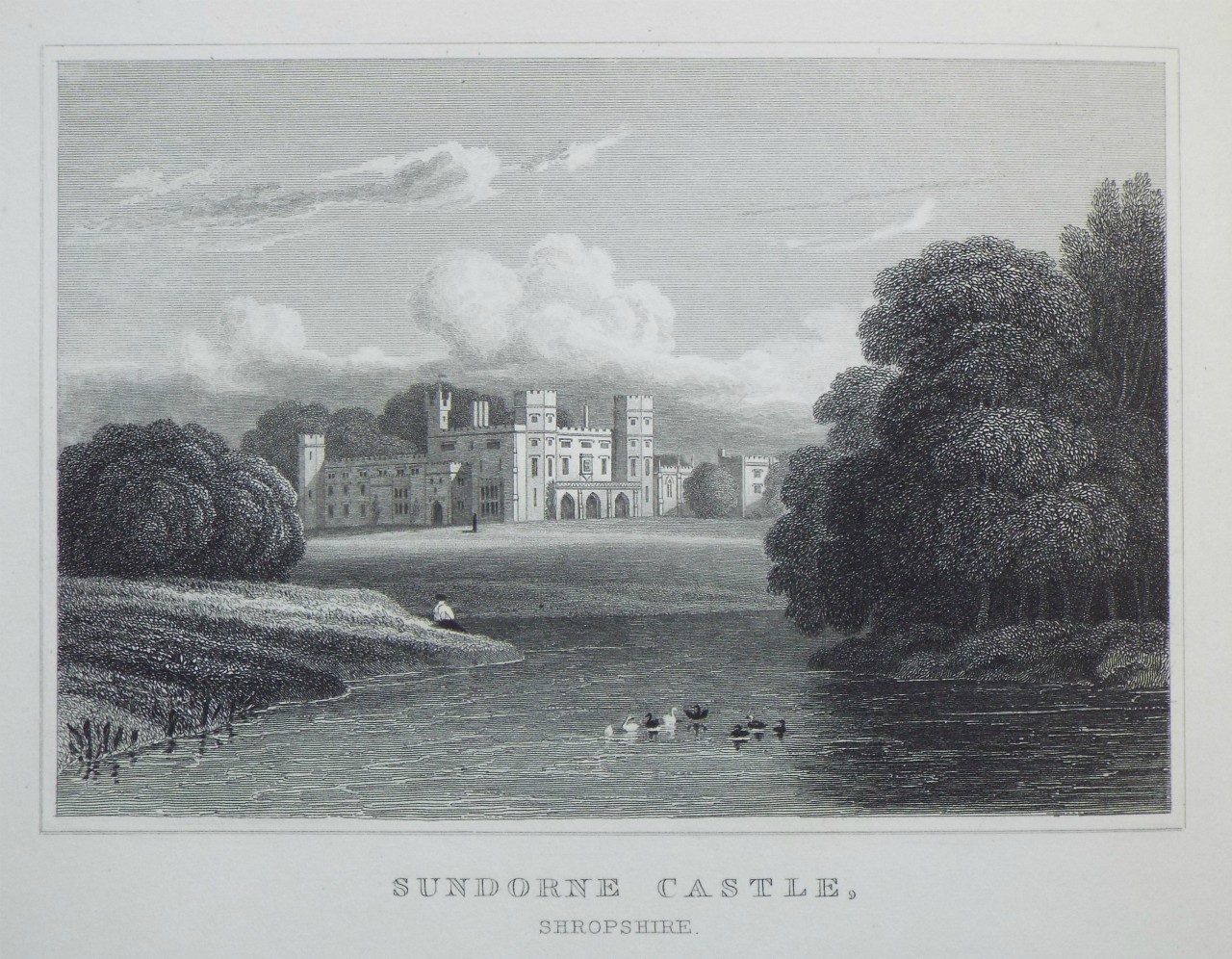 Print - Sundorne Castle, Shropshire. - Radclyffe