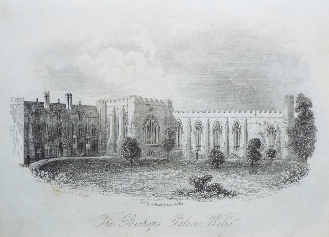 Steel Vignette - The Bishop's Palace, Wells. - J