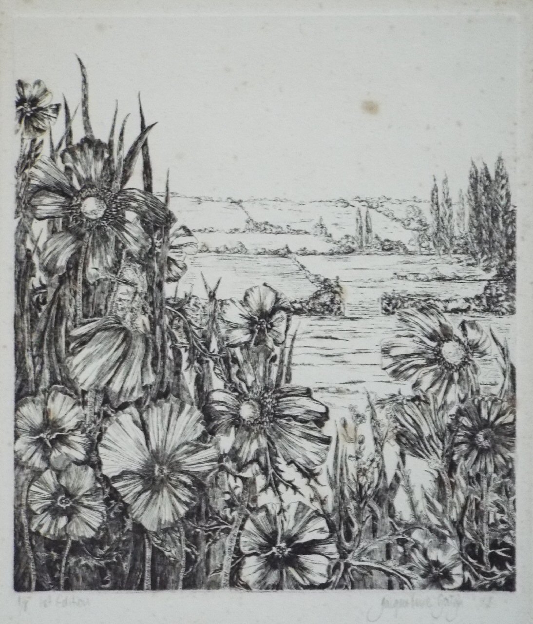 Etching - (Flowers and fields) - Gough