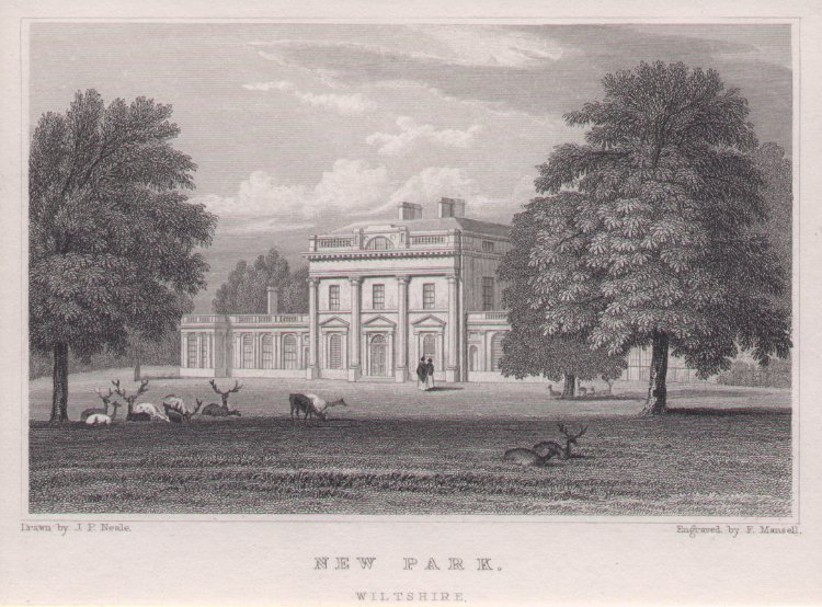 Print - New Park, Wiltshire. - Mansell