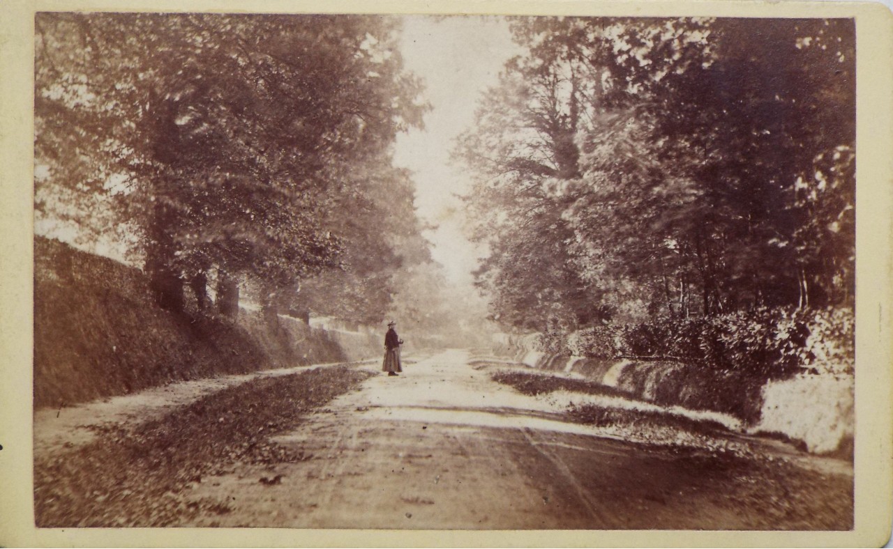 Photograph - Quakers Walk, Devizes
