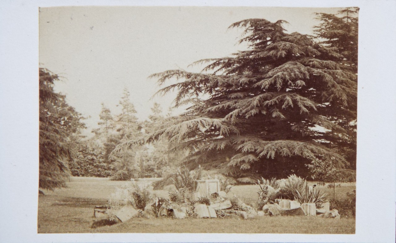 Photograph - Battle Abbey garden