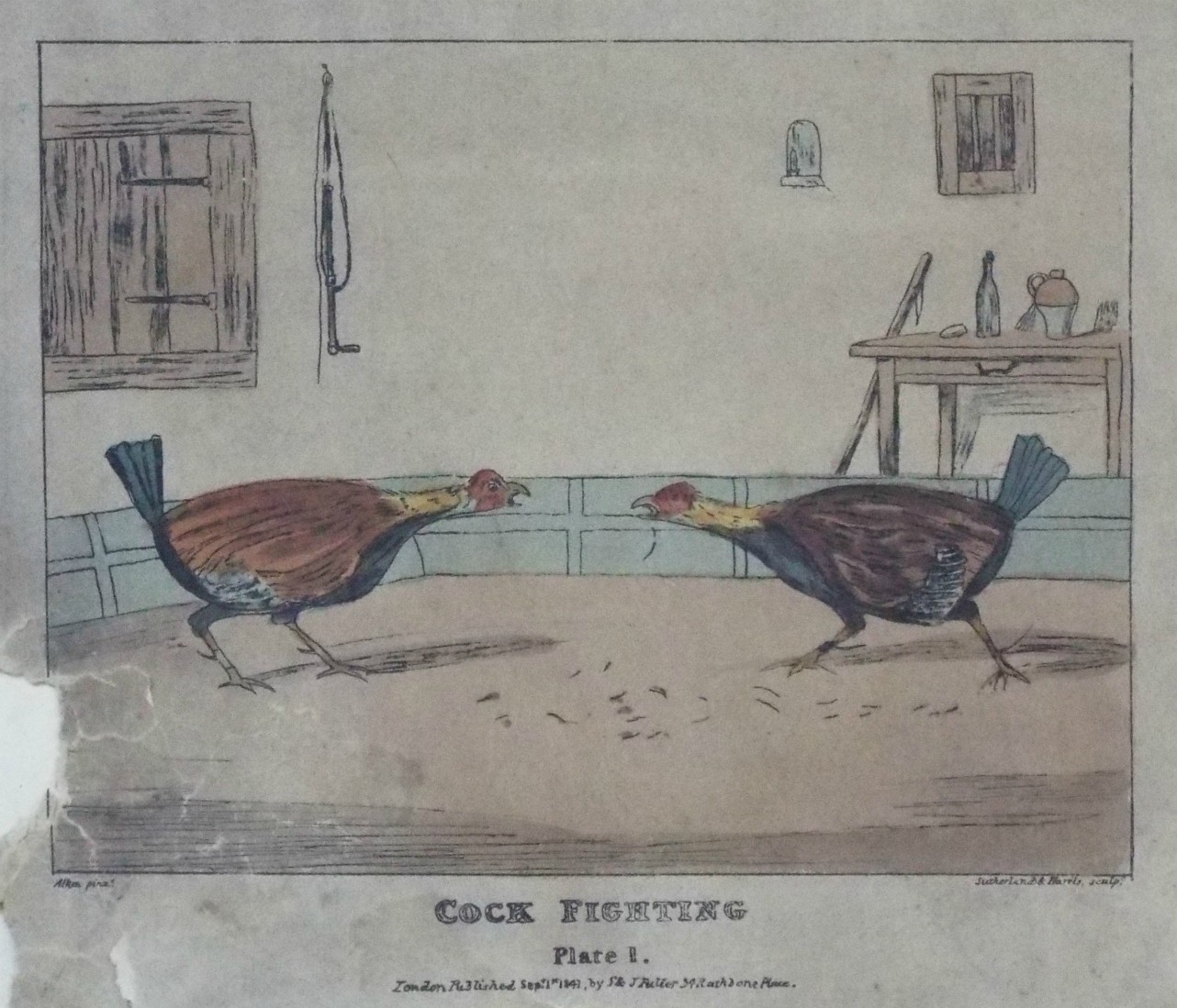 Lithograph - 4 Cock Fighting Plate 1. - Sutherland
