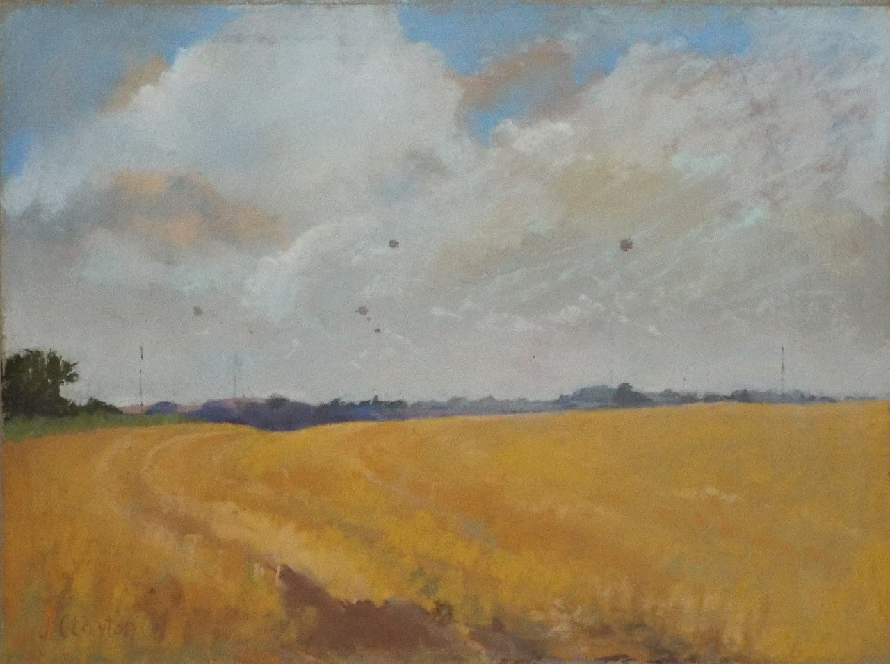 Watercolour - Summer Harvest