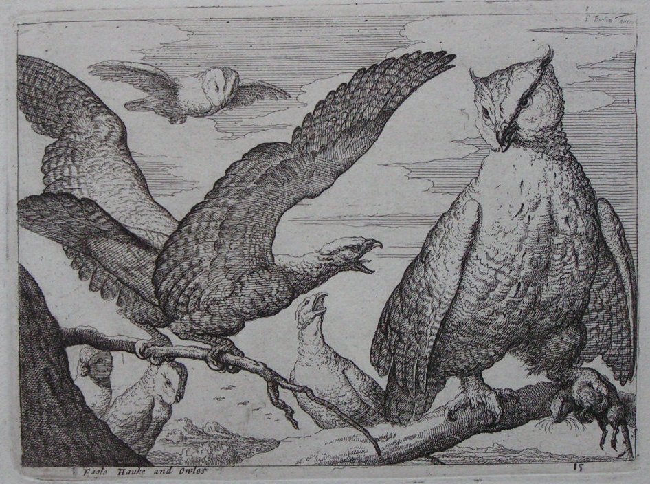 Print - Eagle Hauke and Owls - Place