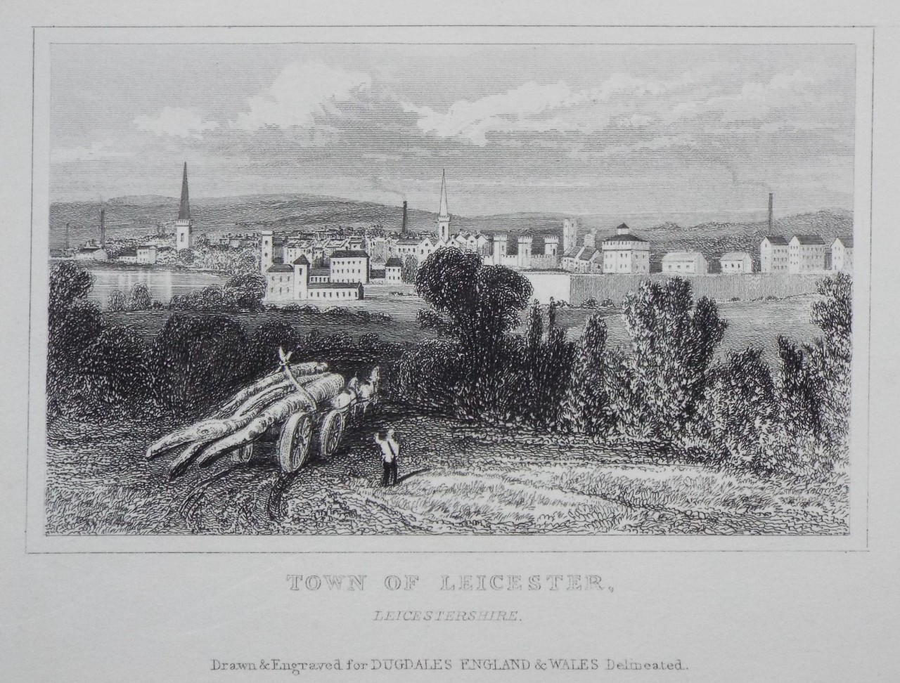 Print - Town of Leicester, Leicestershire.