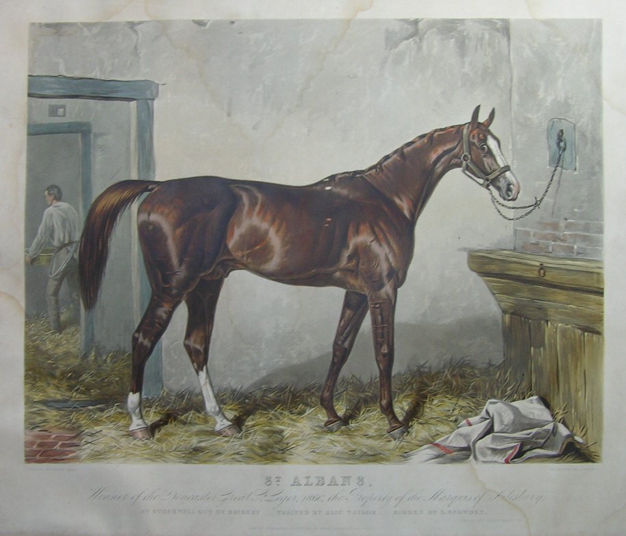 Aquatint - St. Albans. Winner of the Doncaster Great St. Leger, 1860, the Property of the Marquis of Ailesbury. By Stockwell out of Bribery.Trained by Alic Taylor. Ridden by L Snowdon - Harris