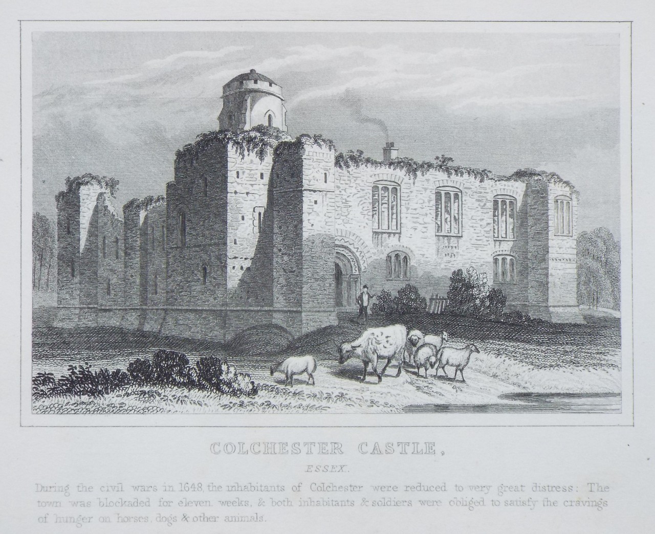 Print - Colcheater Castle, Essex.