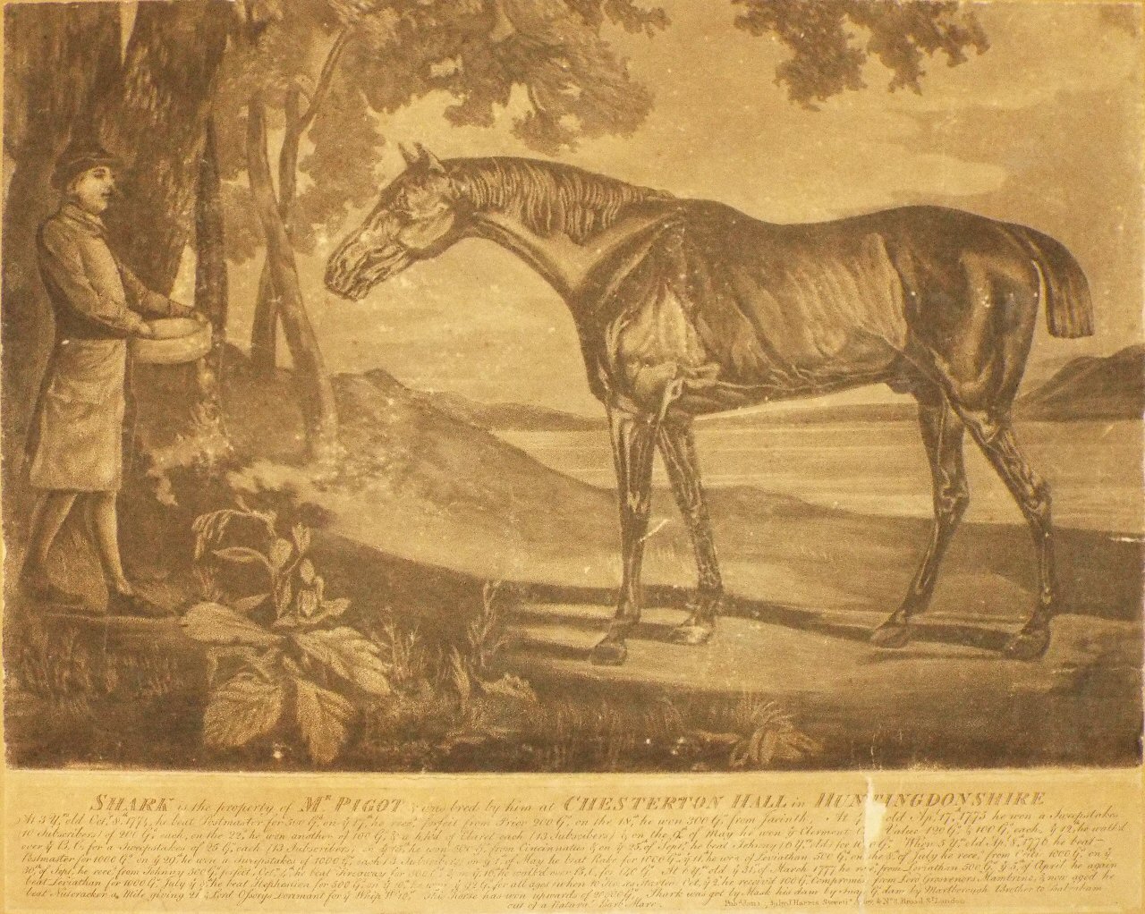 Mezzotint - Shark is the Property of Mr. Pigot & was bred by him at Chesterton Hall in Huntingdonshire - Stubbs