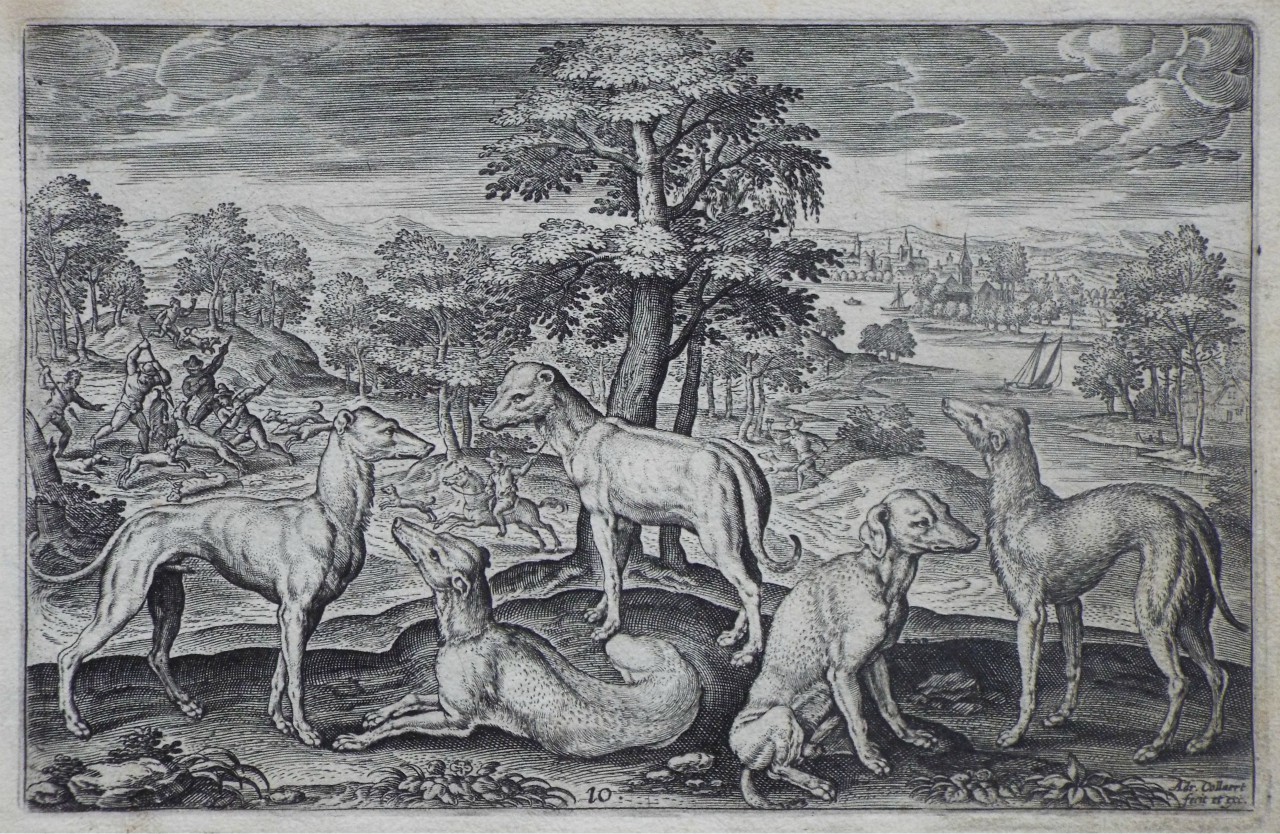 Print - Plate 10: Hounds - Collaert