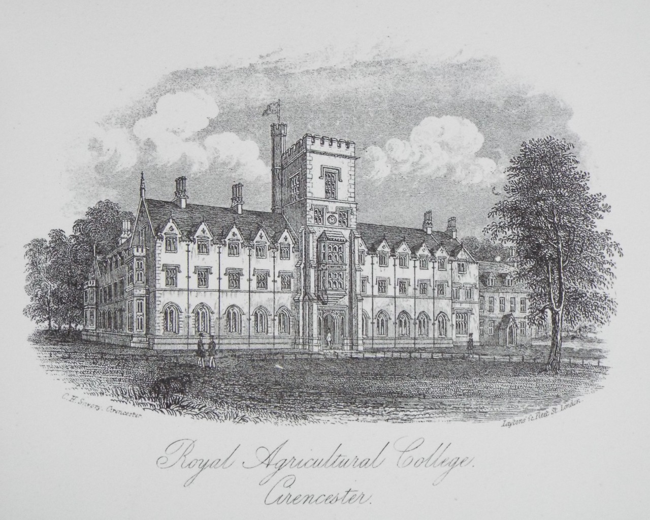 Steel Vignette - Royal Agricultural College, Cirencester. - Laytons