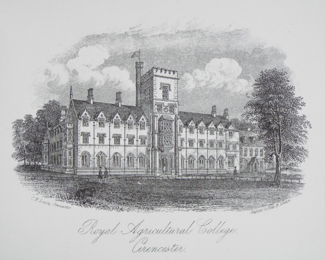 Steel Vignette - Royal Agricultural College, Cirencester. - Laytons