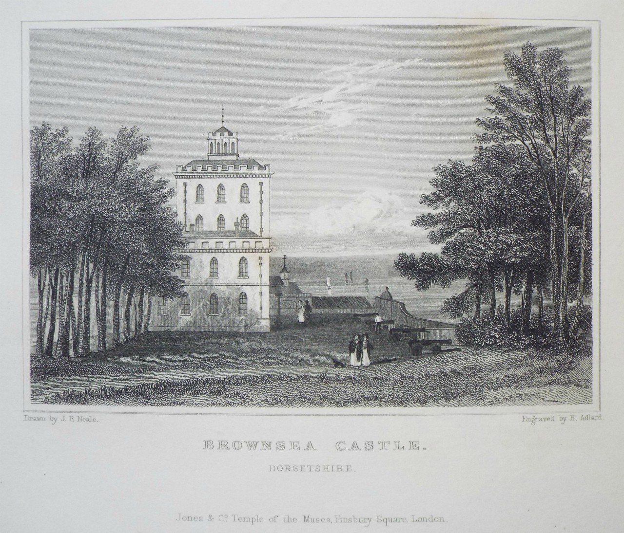 Print - Brownsea Castle. Dorsetshire. - Adlard