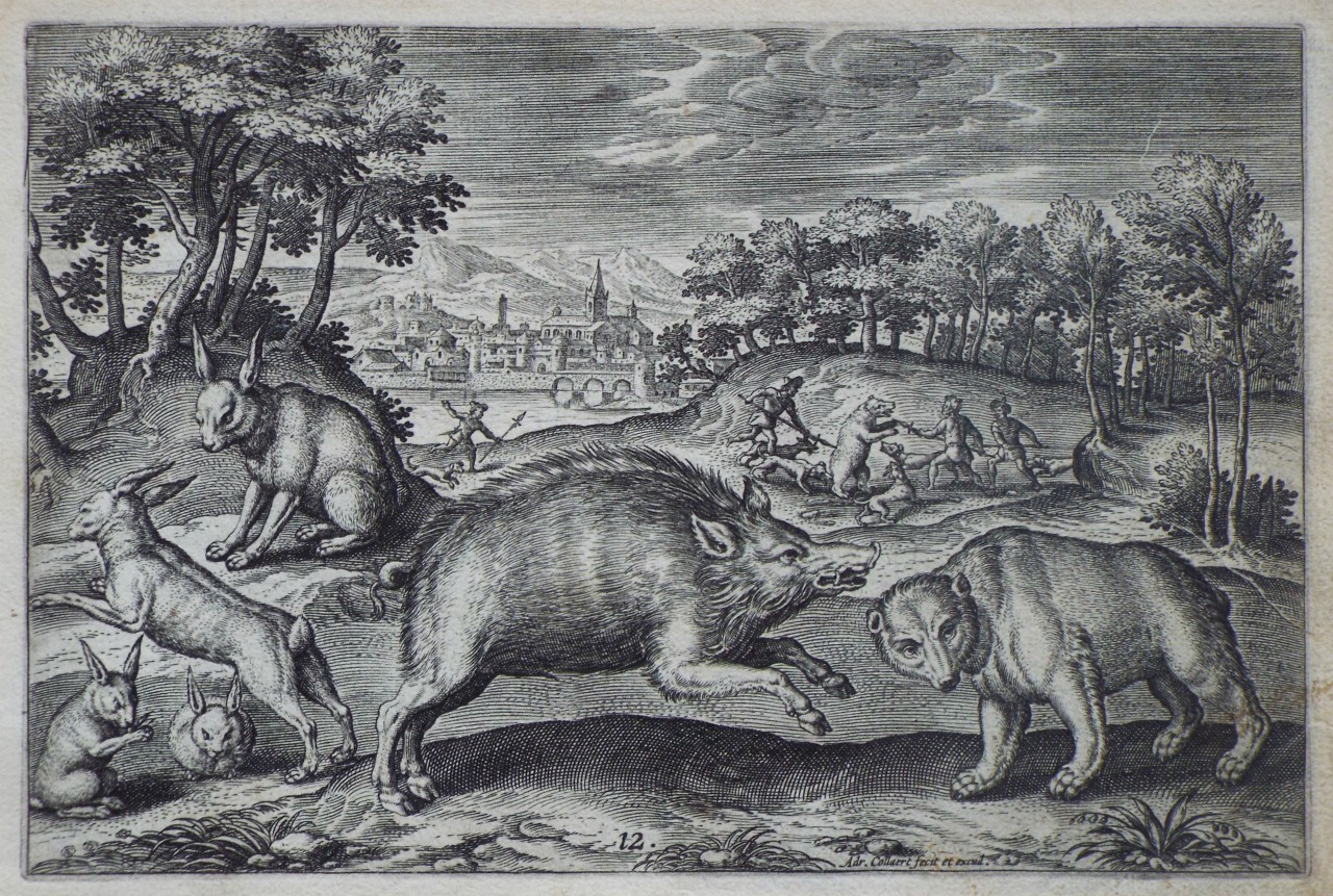 Print - Plate 12: Four rabbits, a wild boar and a bear - Collaert