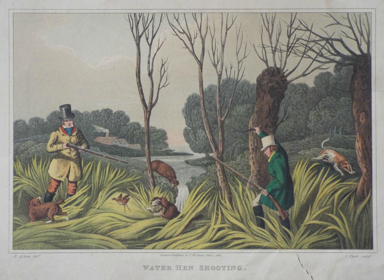 Lithograph - Water Hen Shooting. - Clark