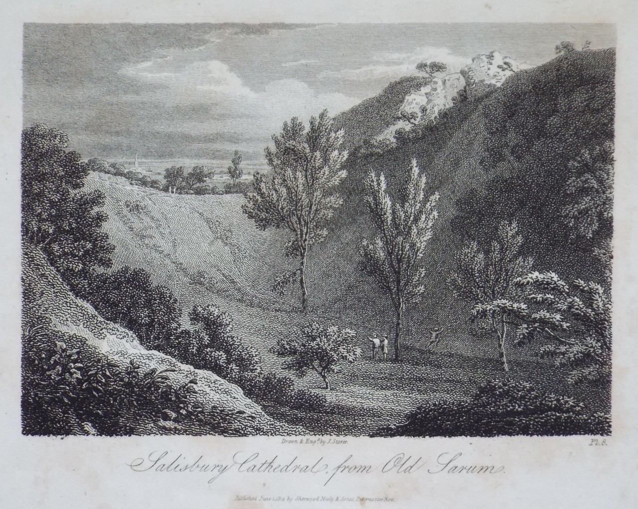 Print - Salisbury Cathedral, from Old Sarum. - Storer