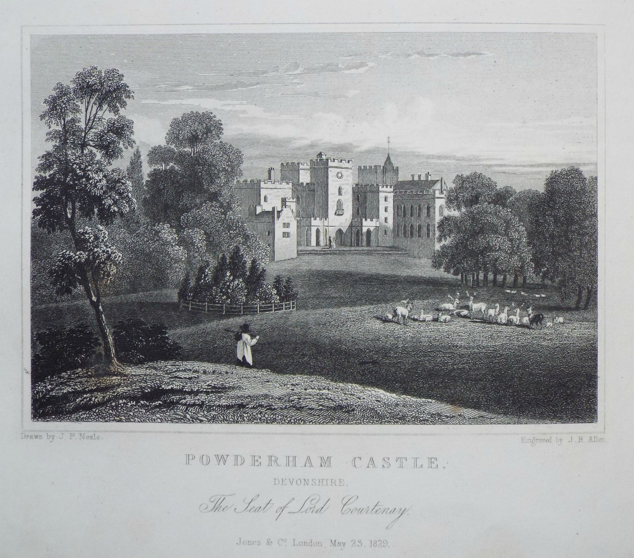 Print - Powderham Castle. Devonshire. The Seat of Lord Courtenay. - Allen