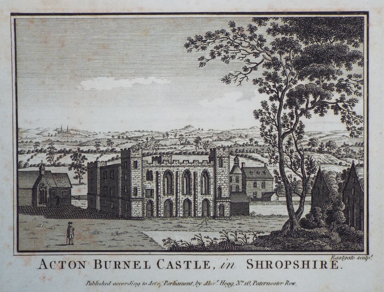 Print - Acton Burnel Castle, in Shropshire. - 