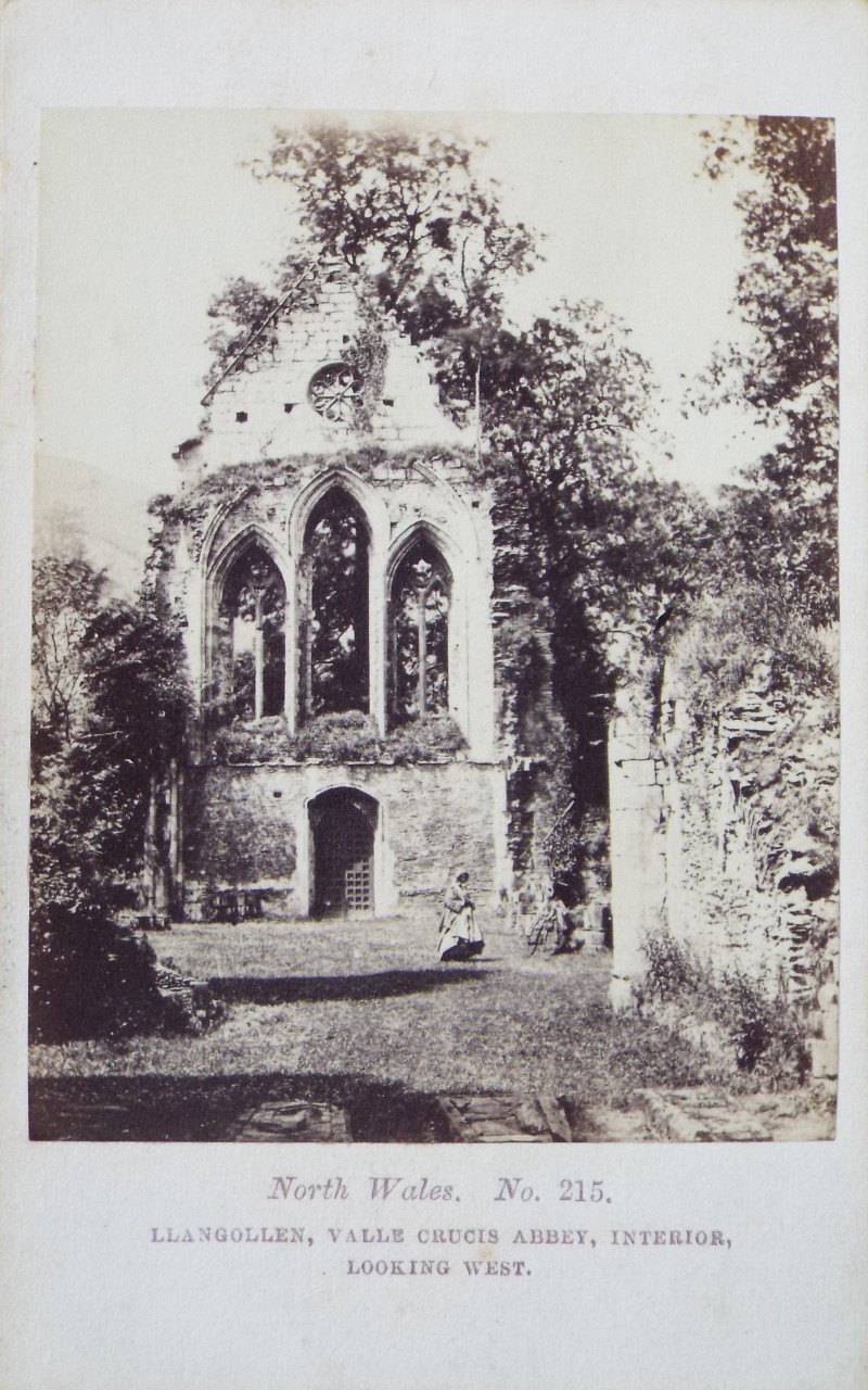 Photograph - Llangollen, Valle Crucis Abbey, Interior, Looking West.