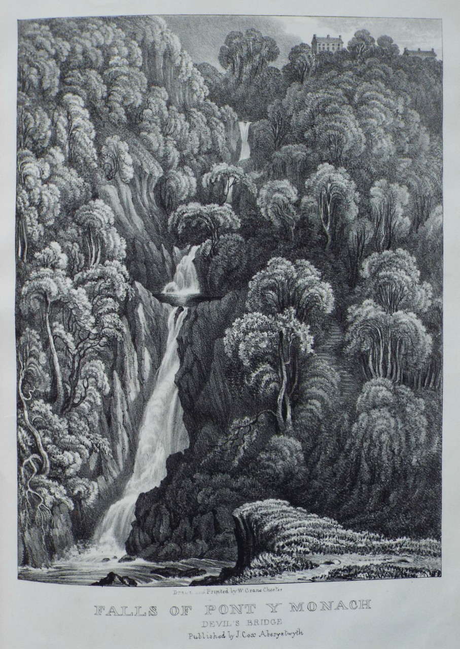 Lithograph - Falls of Pont y Monach Devil's Bridge - Crane