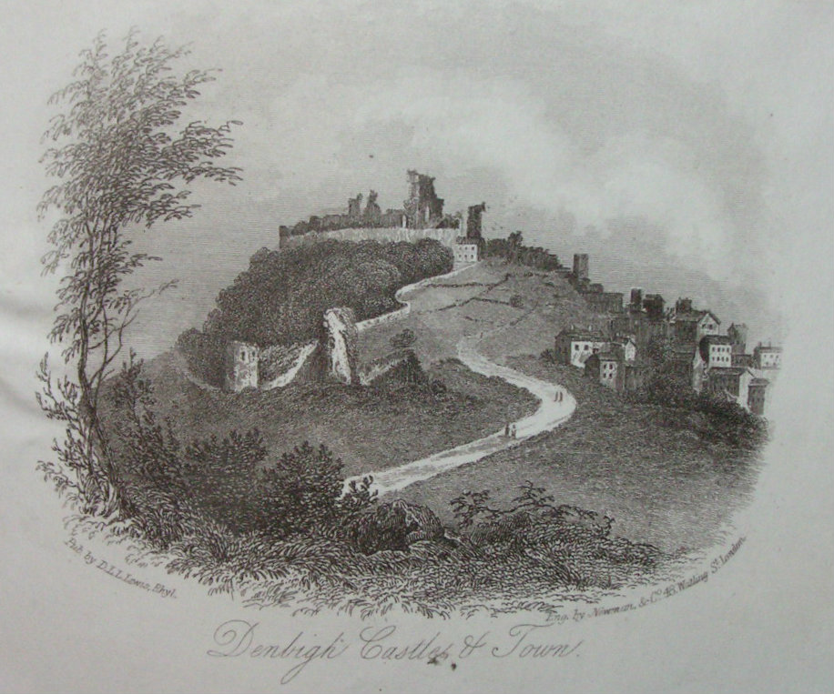 Steel Vignette - Denbigh Castle & Town. - Newman