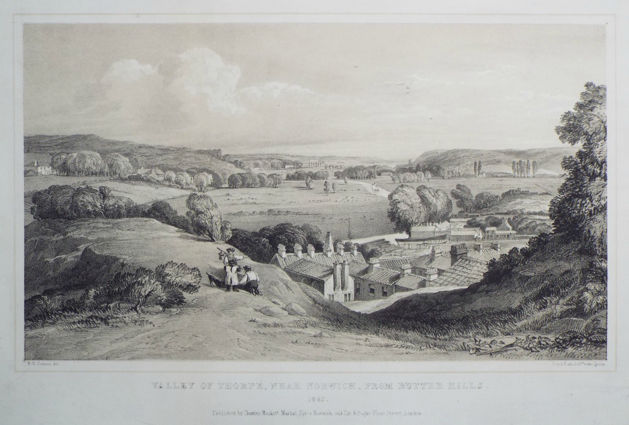 Lithograph - Valley of Thorpe, near Norwich from Butter Hills