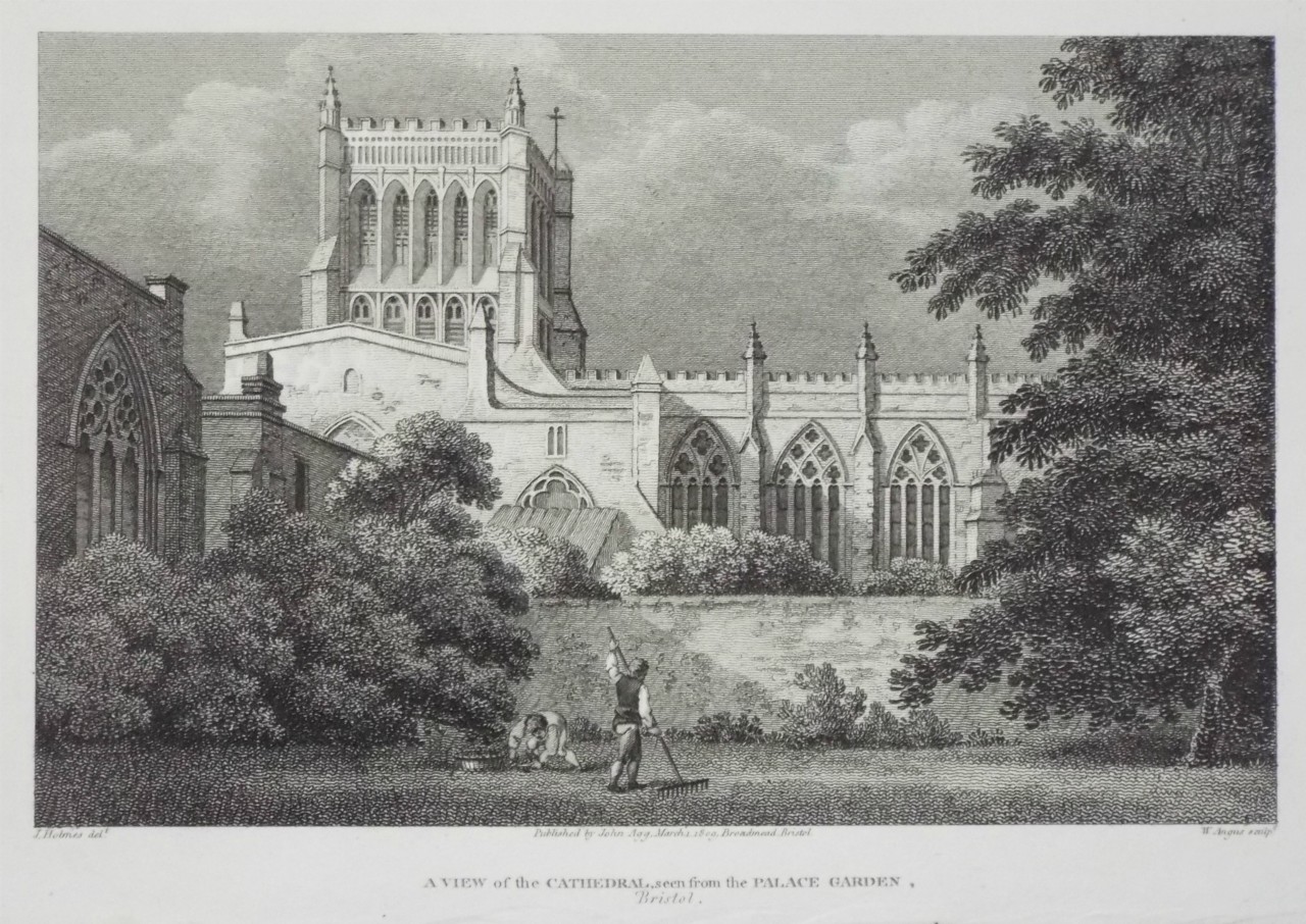Print - View of the Cathedral from the Palace Garden, Bristol. - Angus