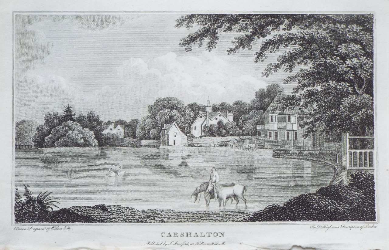 Print - Carshalton - Ellis