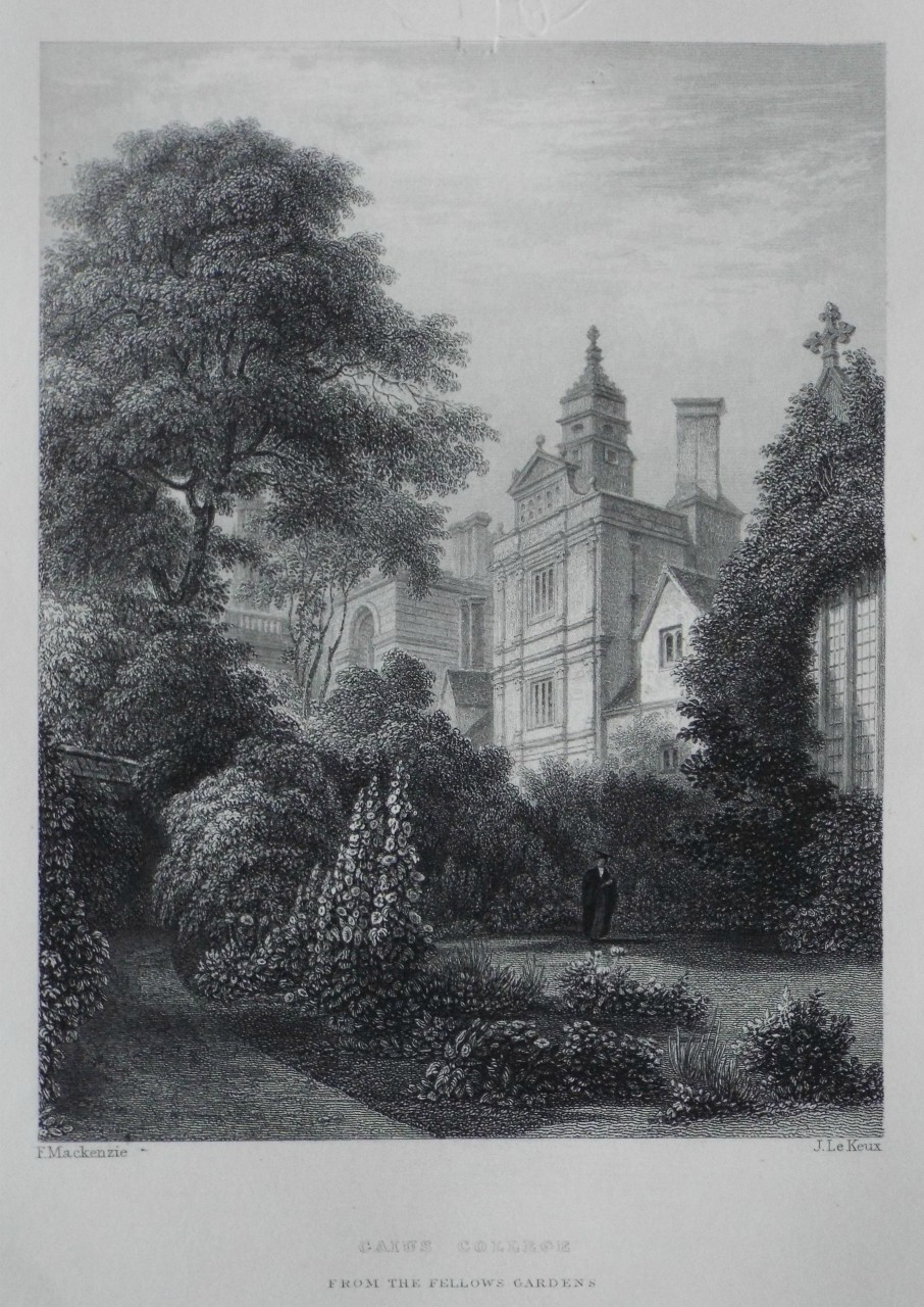 Print - Caius College from the Fellows Gardens. - Le