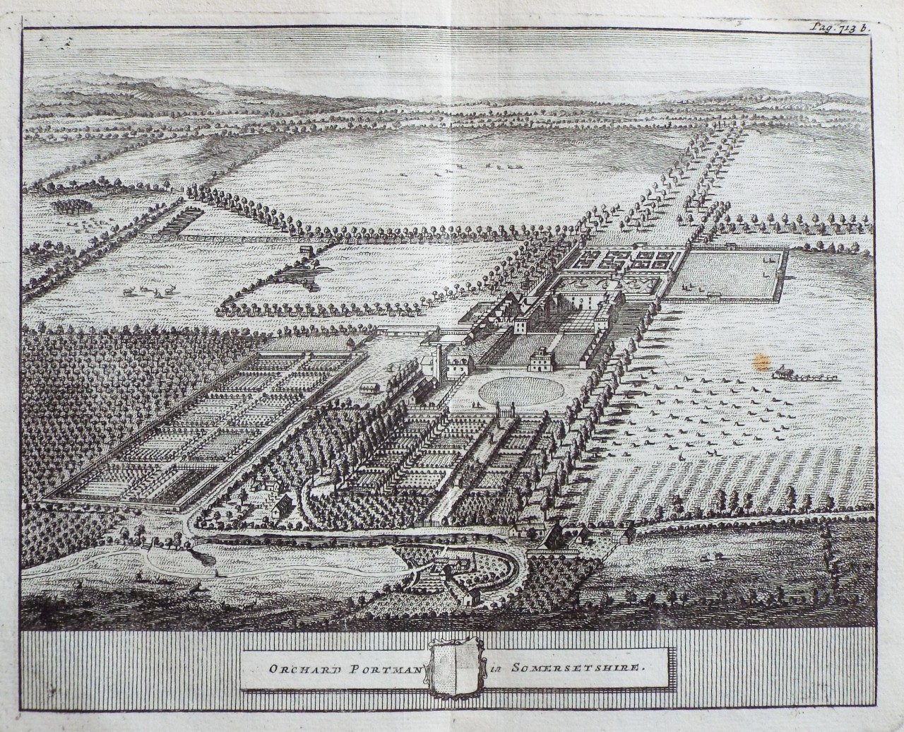 Print - Orchard Portman in Somersetshire.