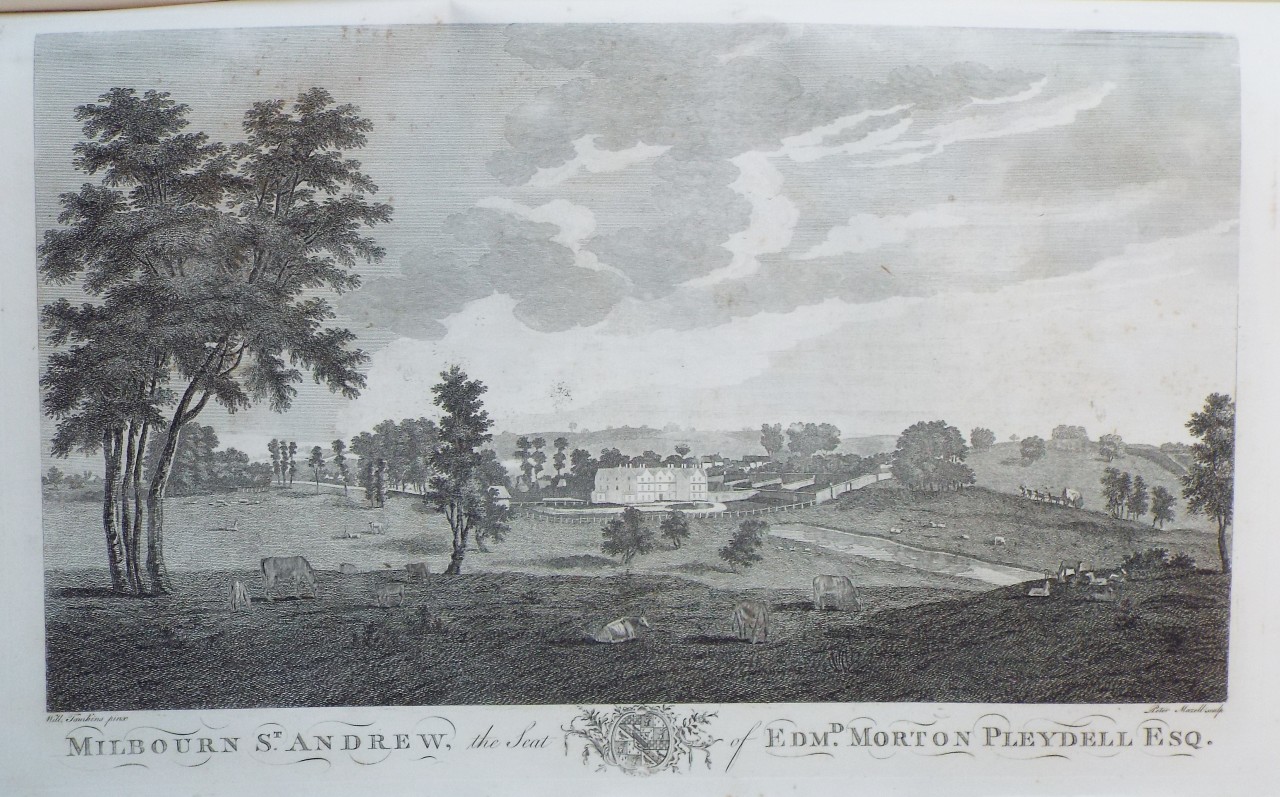 Print - Milbourn St. Andrew, the Seat of Edmd. Morton Pleydell Esq. - Mazell