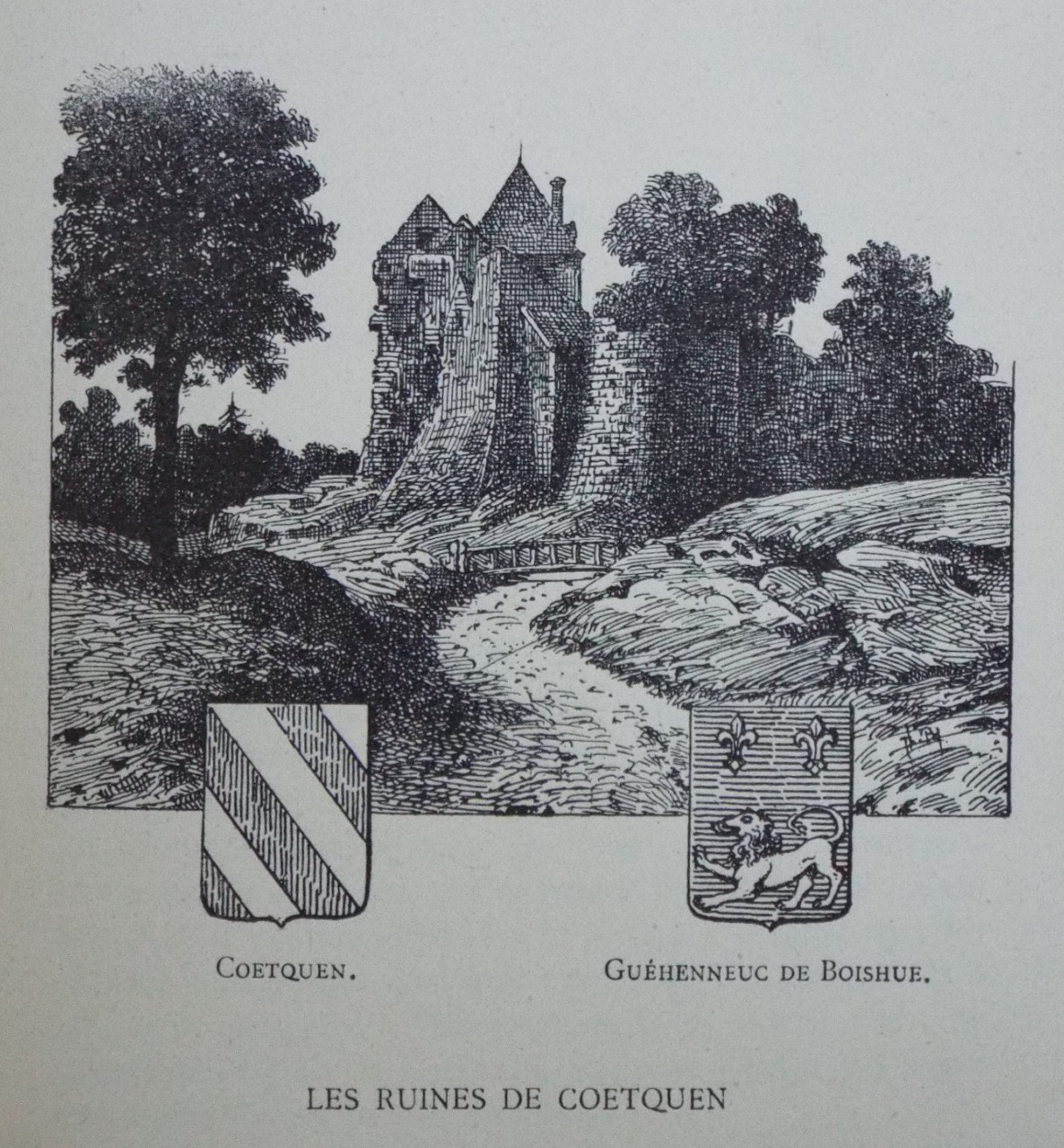 Wood - Les Ruines de Coetquen