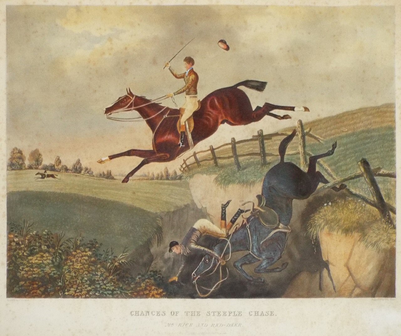 Aquatint - Chances of the Steeple Chase. 6. Mr. Rice and Red-Deer. - Hunt