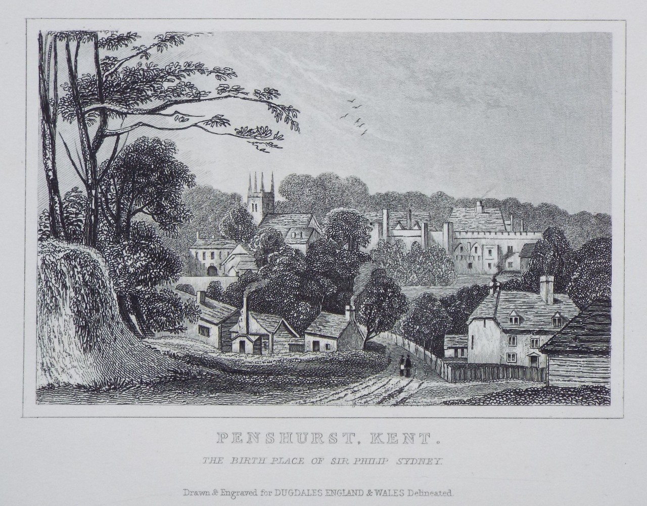 Print - Penshurst, Kent. The Birth Place of Sir Philip Sydney.