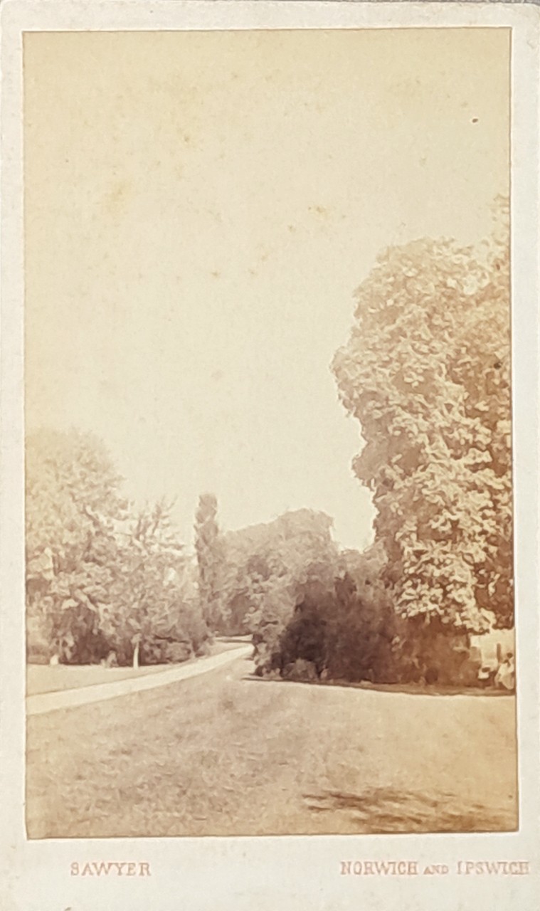 Photograph - Unidentified park or garden in East Anglia
