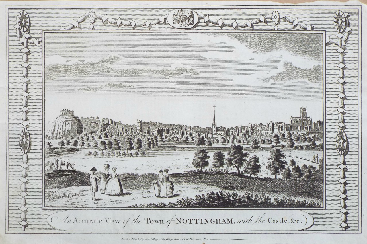 Print - An Accurate View of the Town of Nottingham, with the Castle, &c.