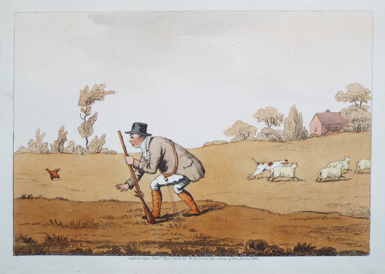 Aquatint - Sportsman with gun following bird; dog worrying sheep. - Woodman