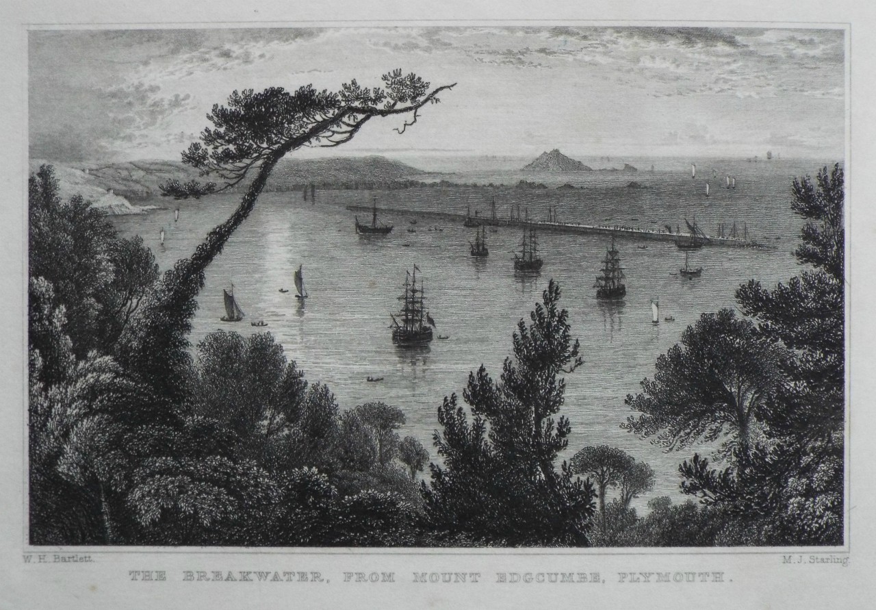 Print - The Breakwater, from Mount Edgcumbe, Plymouth. - Starling