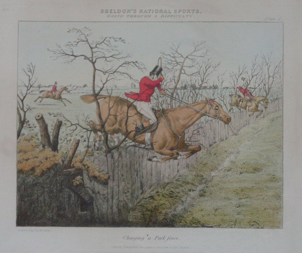 Lithograph - Going Over a Difficulty. Pl.5 Charging a Park Fence - Alken