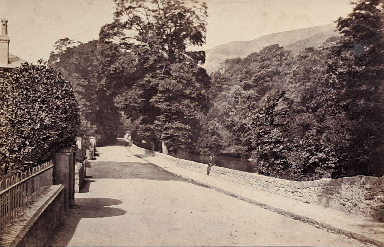 Photograph - Bonchurch Pond