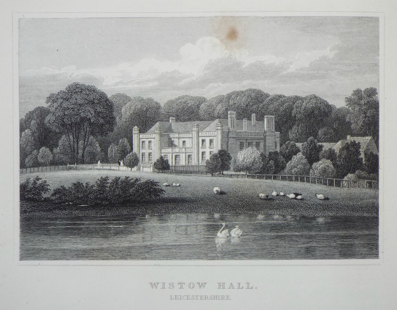 Print - Wistow Hall, Leicestershire. - Radclyffe